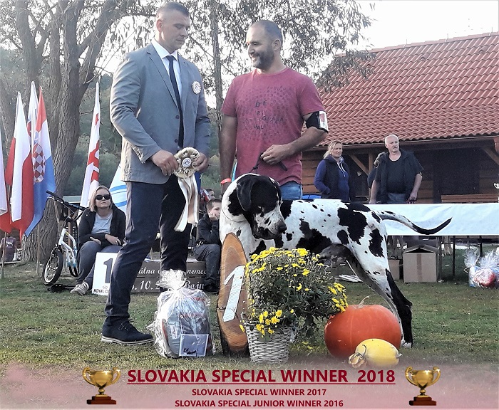 ugo-silvatarok-special-slovakia-winner-2018.jpg